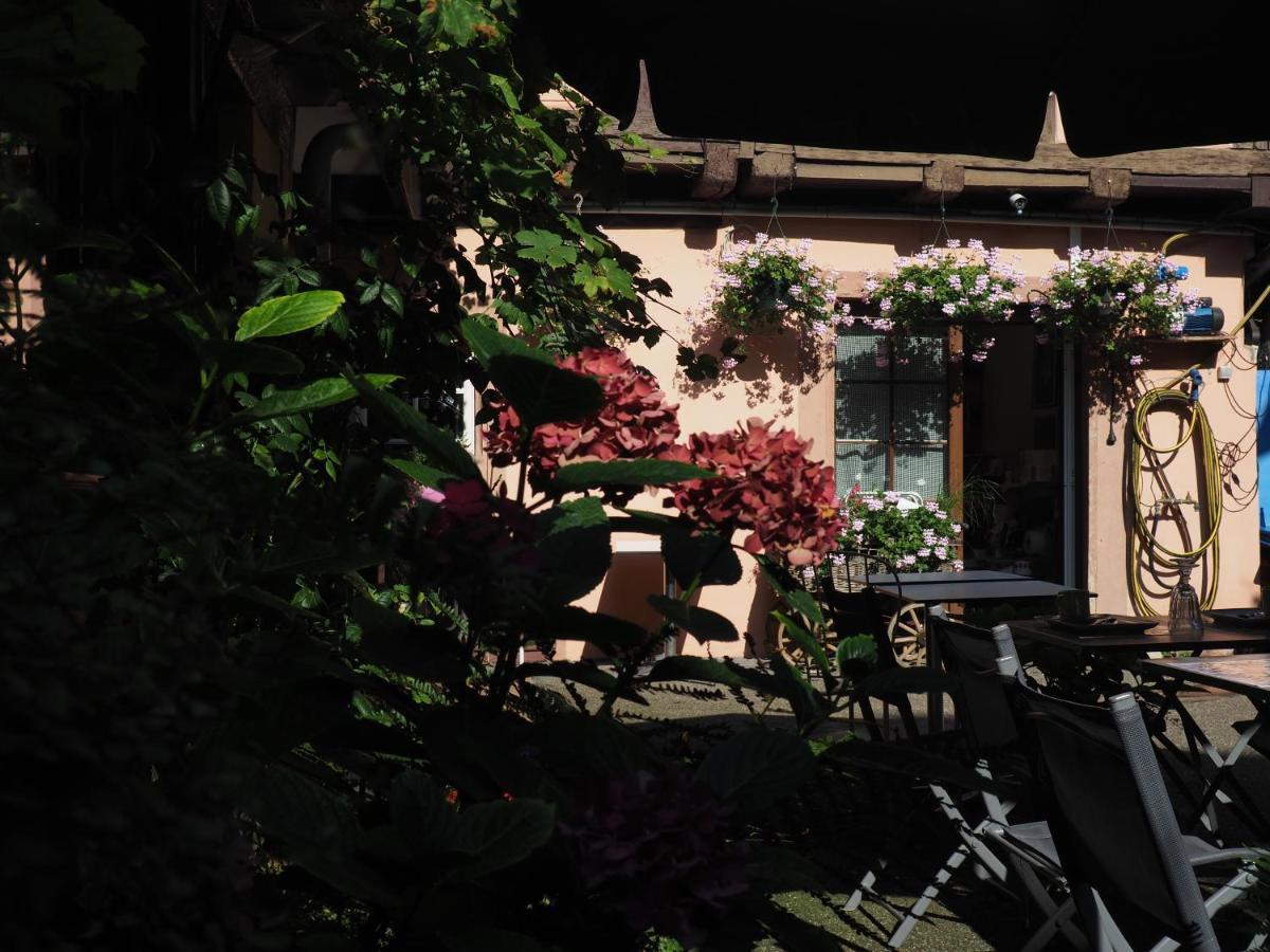 Chambres D'Hotes Chez Caroline กอลมาร์ ภายนอก รูปภาพ